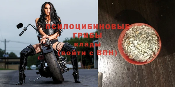 прущий лед Алексеевка