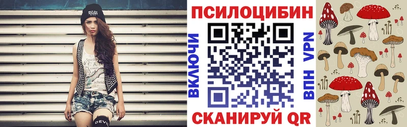 купить наркотик  Полевской  Псилоцибиновые грибы GOLDEN TEACHER 